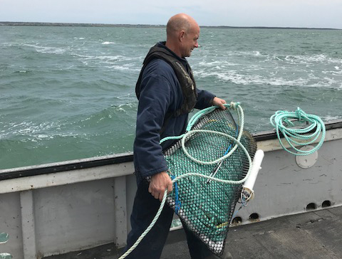 ROPE-LESS FISHING GEAR PILOT STUDY - COLDWATER LOBSTER ASSOCIATION - LFA 34